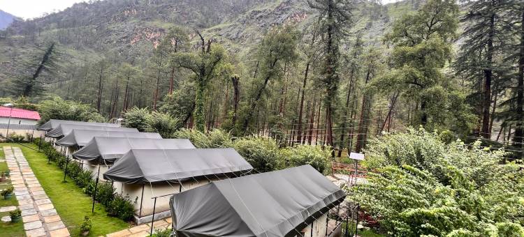 North Deodar Camps图片