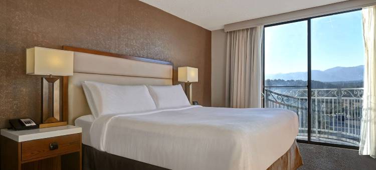 科罗拉多斯普林斯希尔顿安泊酒店(Embassy Suites by Hilton Colorado Springs)图片