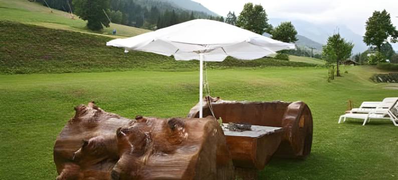 达沃斯酒店(Hotel Davost)图片