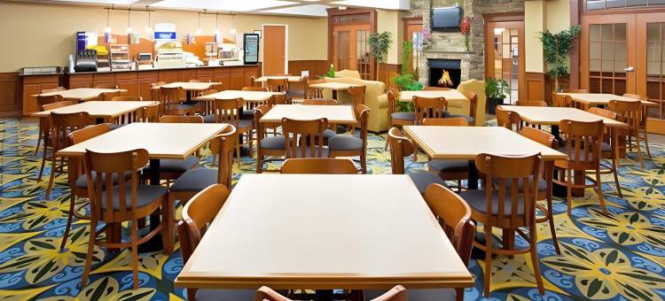 智选假日套房酒店奥本希尔斯(Holiday Inn Express & Suites Auburn Hills)图片