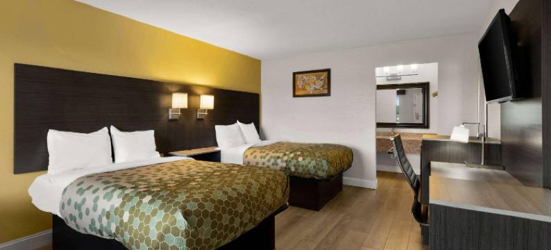 莫里斯敦 I-81 & I-40 斯普利特白松伊克诺旅馆(Econo Lodge White Pine Morristown I-81 & I-40 Split)图片