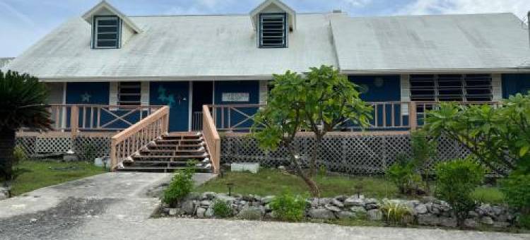 Turtles Nest Bahamas图片