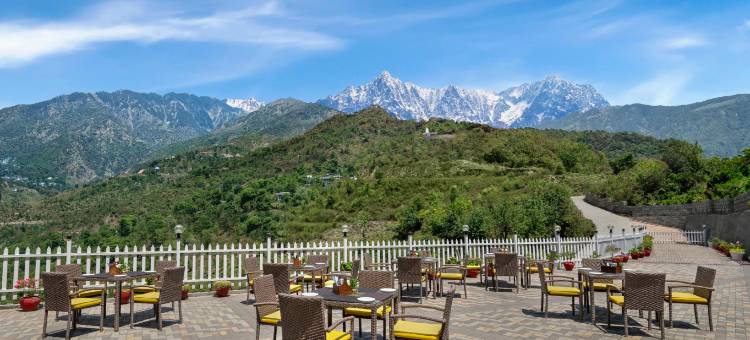胡斯塔高山度假酒店(Justa Birding Resort & Spa - Best Dhauladhar View Resort)图片