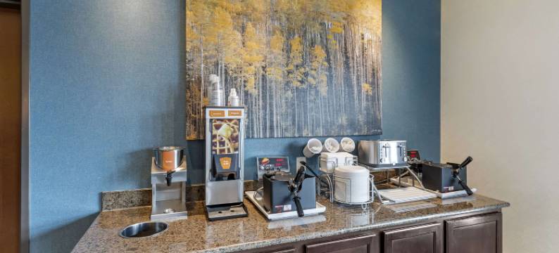 布赖顿丹佛东北医疗中心舒适套房酒店(Comfort Inn & Suites Brighton Denver NE Medical Center)图片