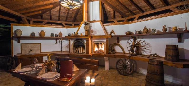 埃维莉娜宫殿酒店(Evelina Palace Hotel)图片