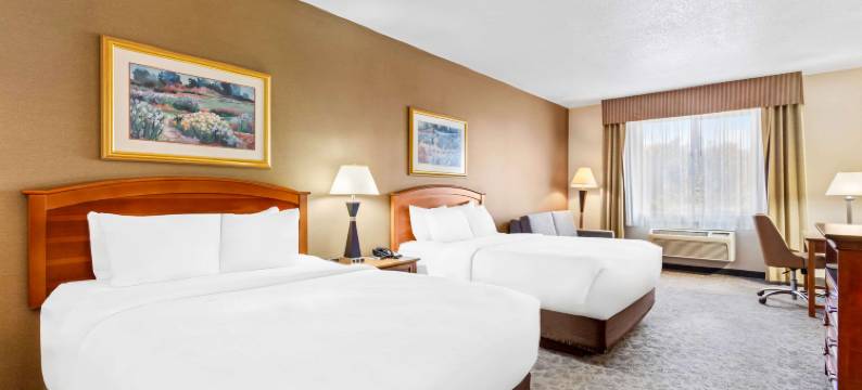 I-25 舒适套房酒店 - 近美国太空港(Comfort Inn & Suites I-25 Near Spaceport America)图片