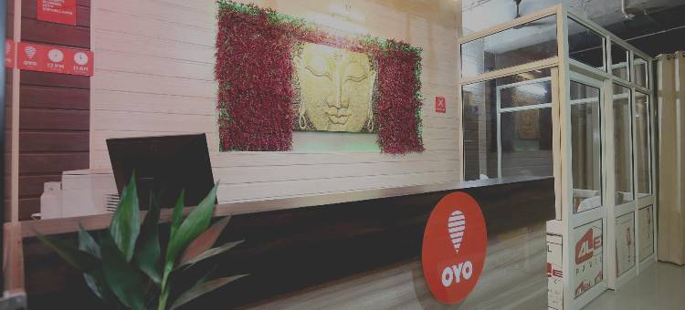 Collection O Gold Star图片