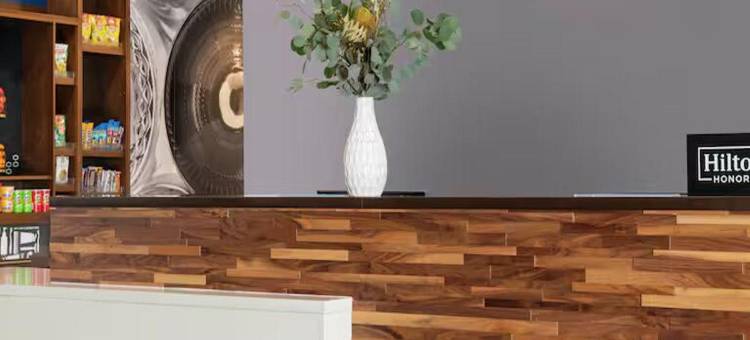 希尔顿欢朋克雷塔罗胡里基利亚(Hampton by HIlton Queretaro Juriquilla)图片