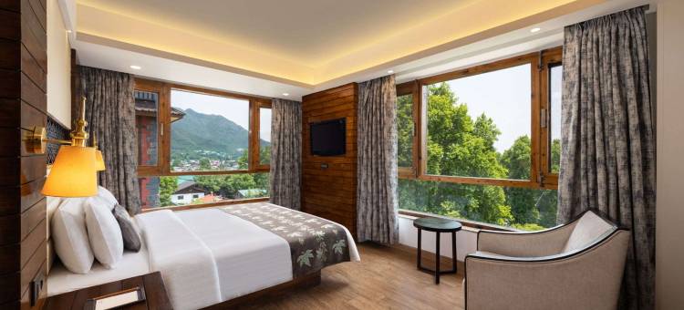 金色郁金香斯里纳格(Golden Tulip Srinagar)图片