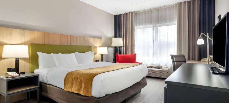 卡尔霍恩舒适套房酒店(Comfort Inn & Suites Calhoun South)图片