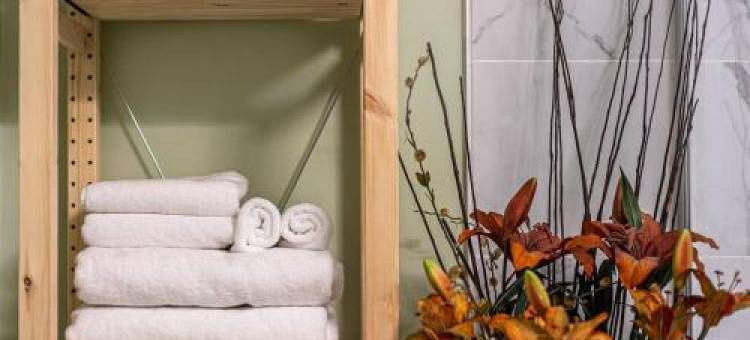 Adorable Private Suite with Indoor Fire Place图片