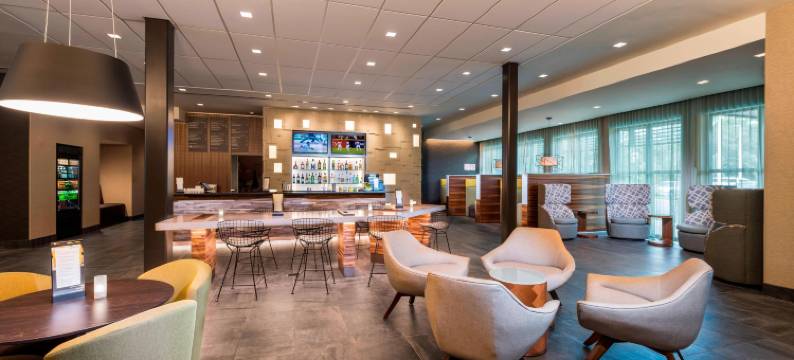 坦帕西北-老兵高速公路万怡酒店(Courtyard Tampa Northwest/Veterans Expressway)图片