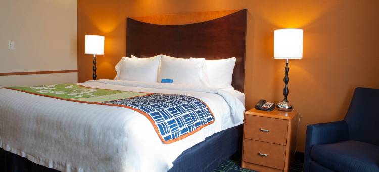 Fairfield Inn & Suites Flint Fenton图片