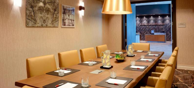 芝加哥西南布尔里奇万豪酒店(Chicago Marriott Southwest at Burr Ridge)图片