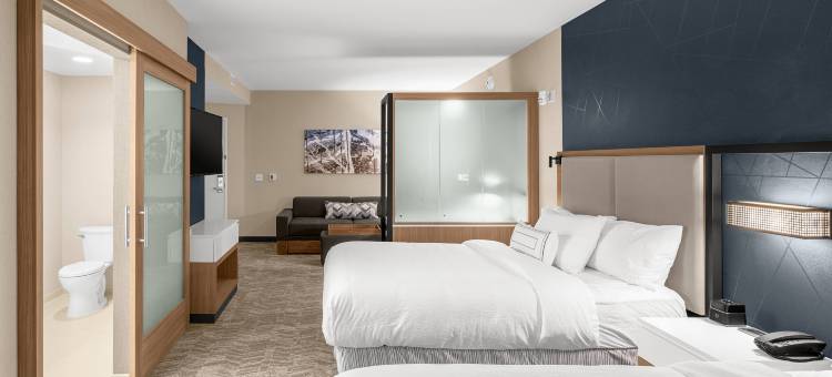 杰克逊万豪SpringHill Suites酒店(SpringHill Suites Jackson)图片