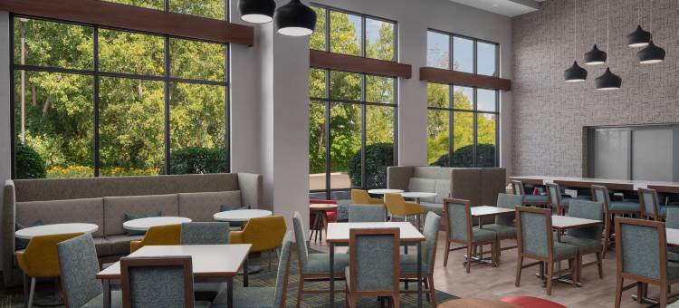 希尔顿欢朋套房酒店-大大急流城(Hampton Inn & Suites Grand Rapids-Airport 28th Street)图片