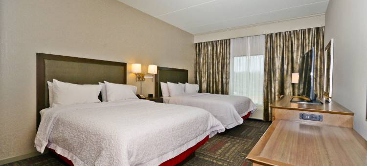 希尔顿欢朋酒店-普拉斯基(Hampton Inn Pulaski)图片