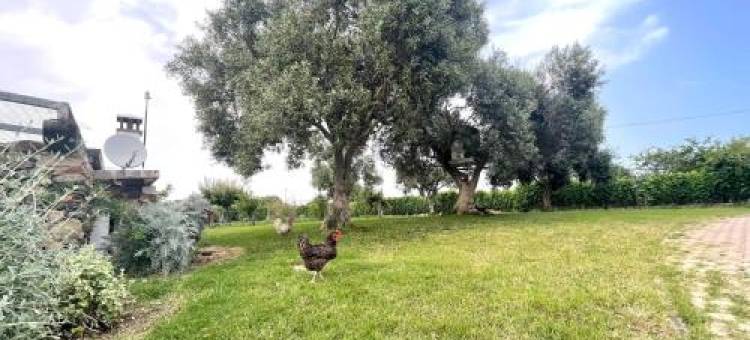 Le Corti Sarde Sea Breeze图片