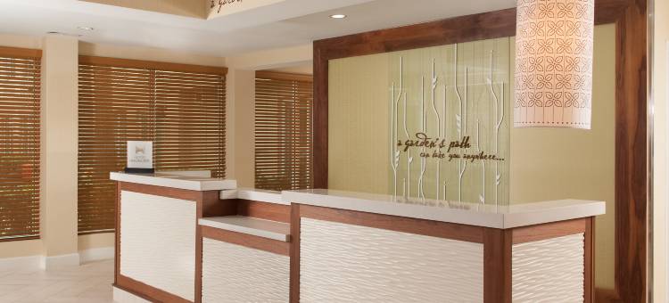 奥兰多机场希尔顿花园酒店(Hilton Garden Inn Orlando Airport)图片