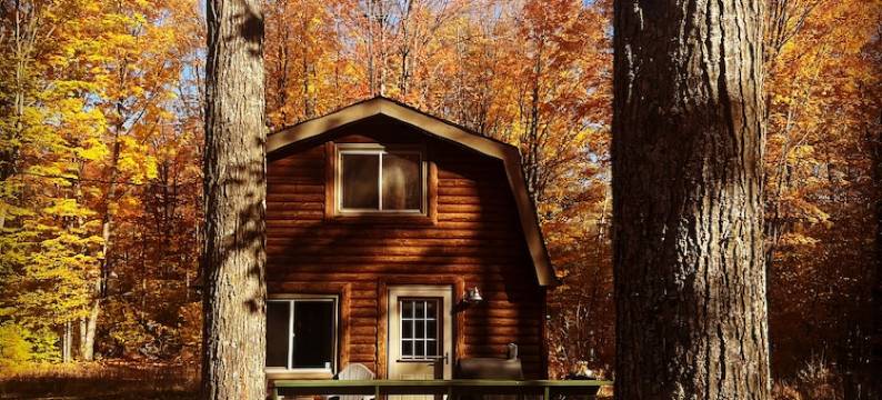 Bonfire Holler Cabin图片