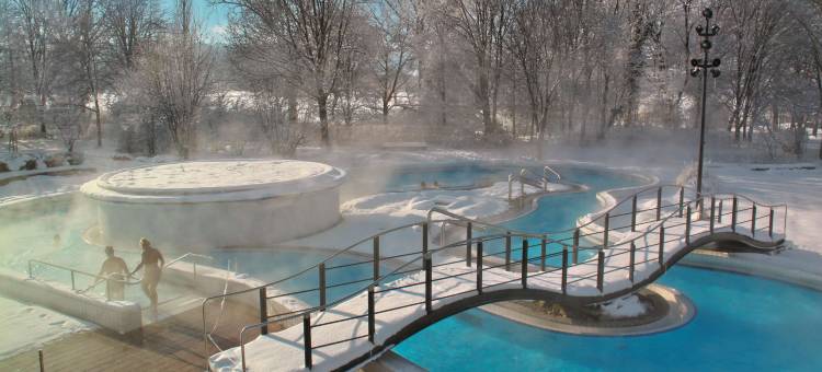 伯恩巴霍赫贝斯特韦斯特公寓式酒店(Best Western Aparthotel Birnbachhoehe)图片