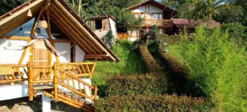 El Refugio del Oso de Anteojos图片