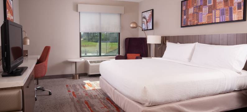 希尔顿花园酒店-亚特兰大机场千年中心(Hilton Garden Inn Atlanta Airport/Millennium Center)图片