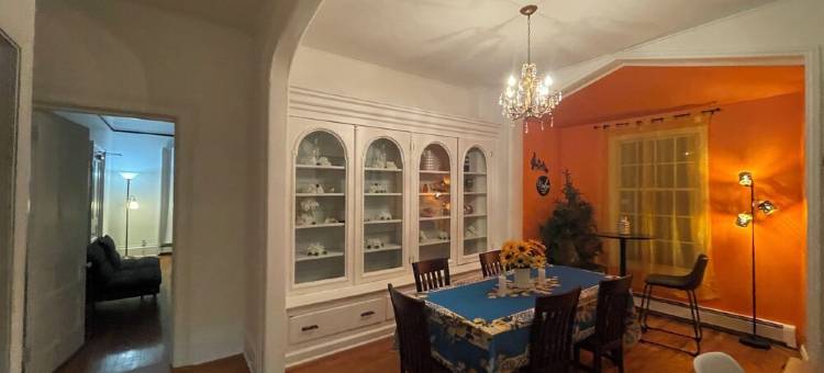 Gingers Tuscan Sunflower图片