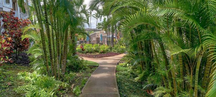维雷亚3卧2卫度假别墅，海景及日落景观(Sale!! Gorgeous 3BR 2BA Villa in Wailea, With Ocean🌊 and 🌅 Sunset Views)图片