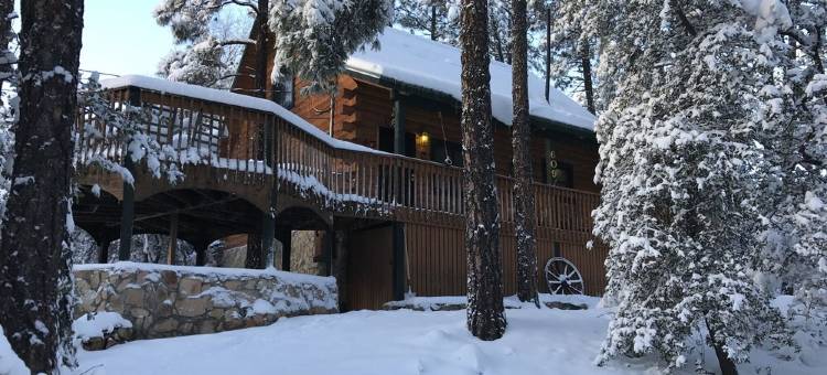 A Luxurious Prescott Log Cabin, 1 Mile to Downtown.图片