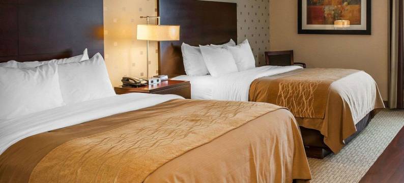 布卢明顿大学附近舒适酒店(Comfort Inn Bloomington Near University)图片