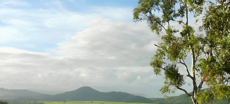 迈泰度假村(Mai Tai Resort)图片