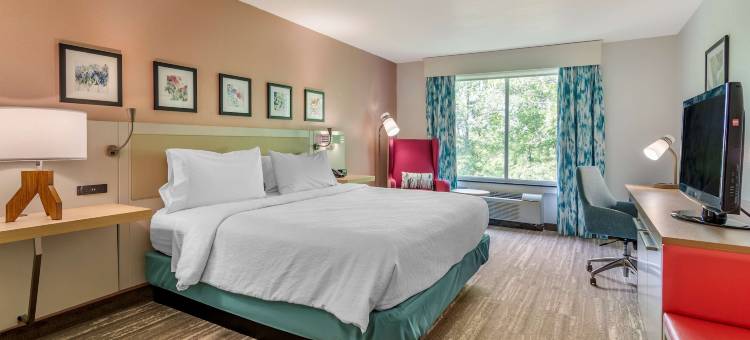 希尔顿花园酒店-亚特兰大东北/格威内特舒格洛夫(Hilton Garden Inn Atlanta NE Gwinnett Sugar Loaf)图片