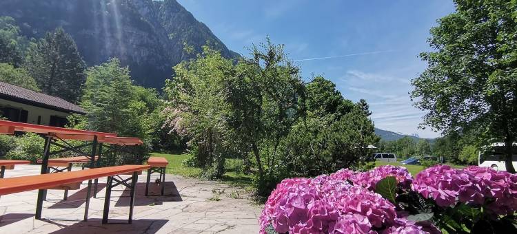Pension Almhof Baumgarten酒店(Pension Almhof Baumgarten)图片