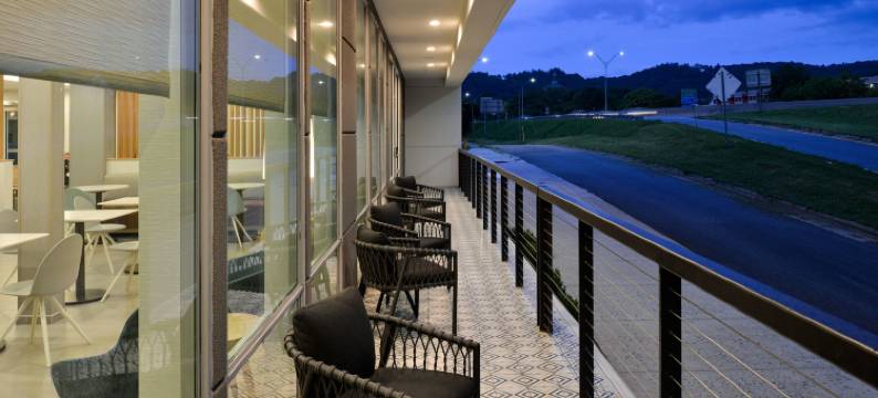 阿什维尔市中心TownePlace Suites酒店(TownePlace Suites Asheville Downtown)图片