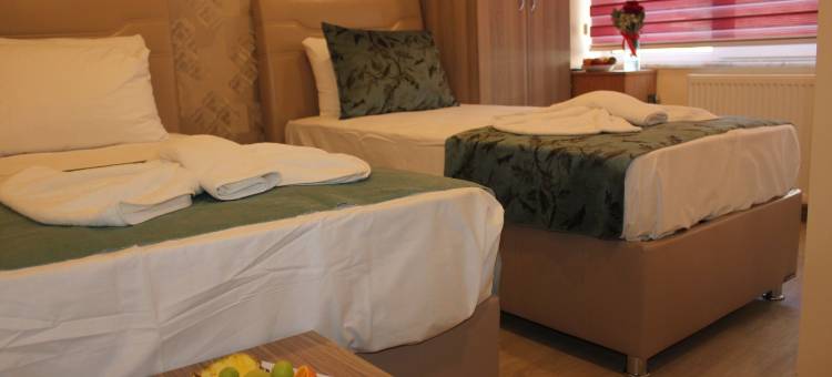 格略酒店(Gorur Hotel)图片