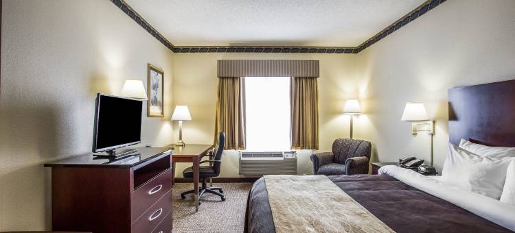 杰克逊堡梅因盖特舒适套房酒店(Comfort Inn & Suites FtJackson Maingate)图片