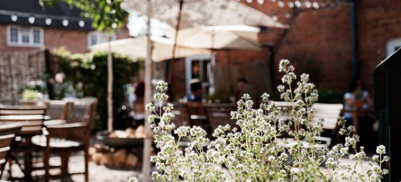 贝尔与金斯克莱尔龙酒店(Bel and the Dragon-Kingsclere)图片