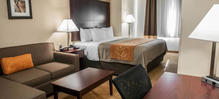 阿尔伯克基北气球嘉年华公园舒适套房酒店(Comfort Suites Albuquerque-North Journal Center)图片