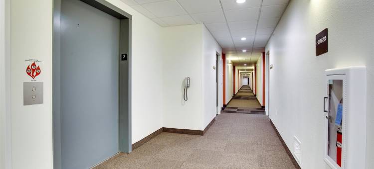 MO 帕普勒布拉夫 6 号汽车旅馆(Motel 6 Poplar Bluff, MO)图片