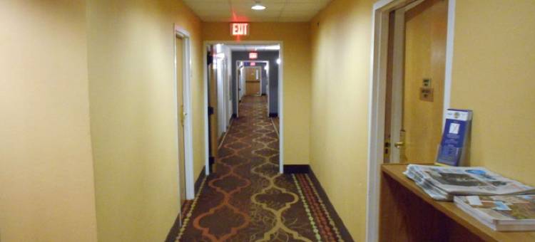 奥尔巴尼机场麦客达酒店(Microtel Inn by Wyndham Albany Airport)图片