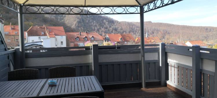 爱丽丝别墅酒店(Hotel Villa Alice)图片