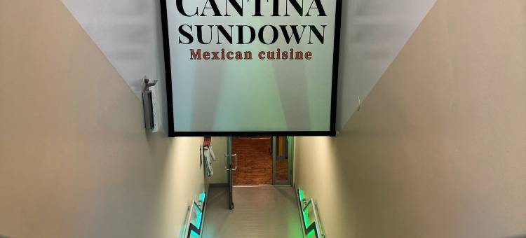 Holiday Inn 纽约下东城假日酒店(Holiday Inn NYC - Lower East Side)图片