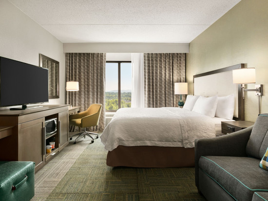 希尔顿欢朋酒店-雷丁怀俄米兴