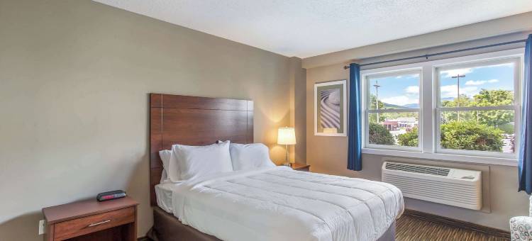 凯艺套房酒店(Quality Inn & Suites)图片