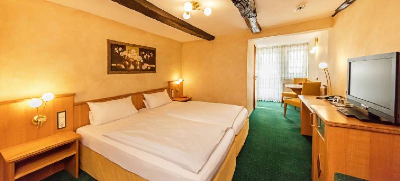 兰德酒店瑞培塔尔酒店(Landhotel Repetal)图片