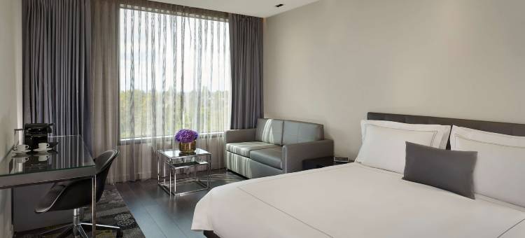 伦敦皇家公园丽亭酒店(Park Plaza London, Park Royal)图片