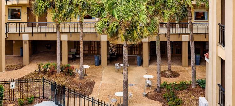 康福特套房巴吞鲁日南部I-10(Comfort Suites Baton Rouge South I-10)图片