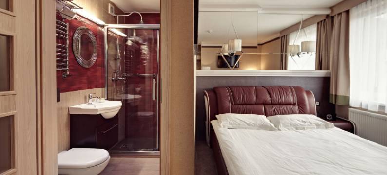 索斯诺维茨M酒店(M Hotel Sosnowiec)图片