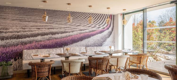 瓦朗斯南部美居酒店(Hôtel Mercure Valence Sud)图片